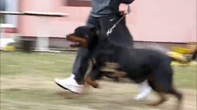 Atina смотреть онлайн