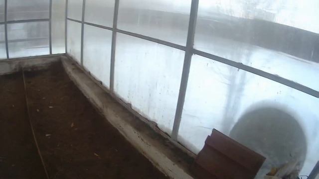 Пёс подлянщик. смотреть онлайн