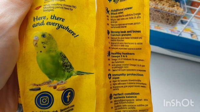 Уход за волнистым попугаем. Чем кормить попугая. Как живет наш Кеша, что ест, чем занимается?. смотреть онлайн