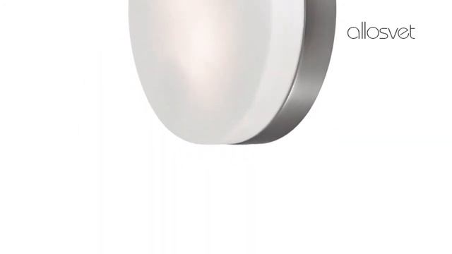 Настенно/потолочный светильник 2405/2A фабрика Odeon Light смотреть онлайн