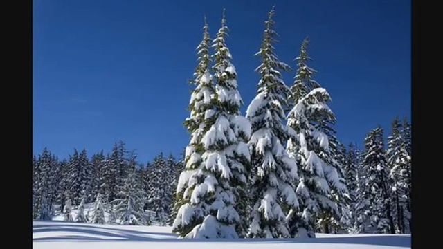 В лесу родилась ёлочка??☃️⛄?❄️ смотреть онлайн