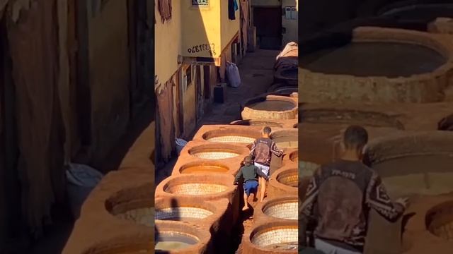 Самое ВОНЮЧЕЕ место в мире? ??? #фес #марокко #путешествия смотреть онлайн