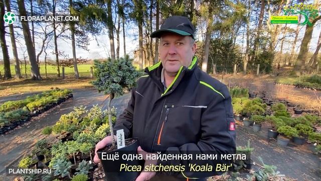 HORSTMANN??- Про растения и заказы смотреть онлайн