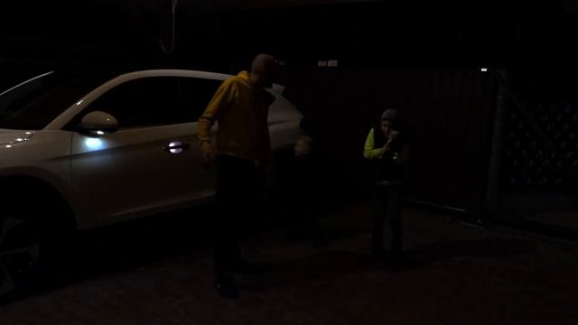 Мама ПРОТИВ ... Хочет выбросить на улицу!!!Mom VS kitten. What now? смотреть онлайн