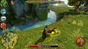 Celtic Heroes// Обзор класса. Друид