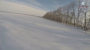 Охота на зайца