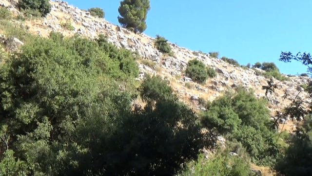 Поход с собаками.На горной реке Мерон - 2ч. смотреть онлайн