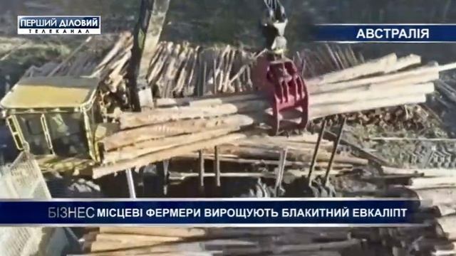 В Австралии местные фермеры выращивают голубой эвкалипт смотреть онлайн