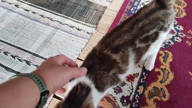 гостит внучка/делаю заготовки на зиму смотреть онлайн