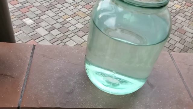 Вкусная окрошка от Светланы из свежих овощей смотреть онлайн