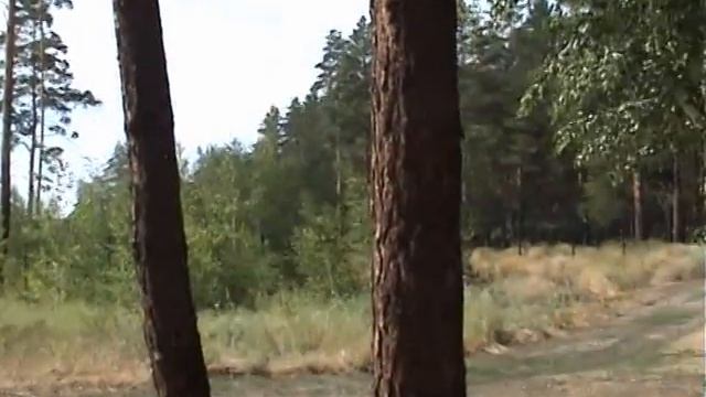 "Сосновый бор" и Красный Кордон, окрестности. Кустанайская область, Казахстан смотреть онлайн
