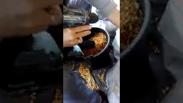 Чистим/шелушим кукурузу. Как быстро очистить кукурузный початок в ручную. смотреть онлайн