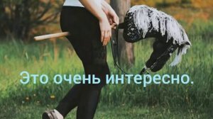 //Хоббихорсинг//