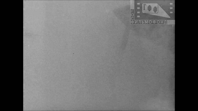 Разгром немецких войск под Москвой (1942)