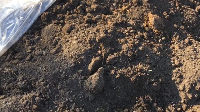 Радость огородника! смотреть онлайн