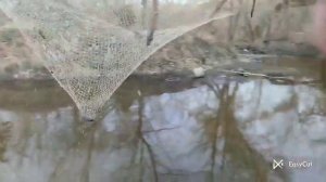 рибалка на фатку з @user-pk8oz3rp6o #рибалка #fishing #щука #паукподъемник