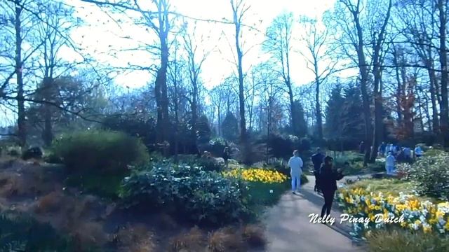 KEUKENHOF Gardens Netherlands 2022 | The Most Beautiful TULIP Gardens of Europe смотреть онлайн