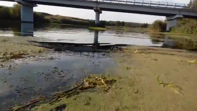 Аэро лодка на р.Оскол смотреть онлайн