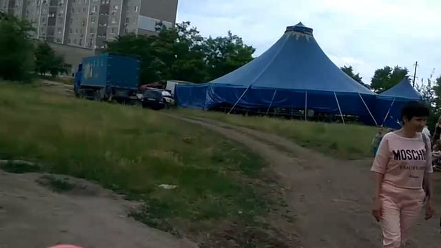 Лев на арене цирка смотреть онлайн
