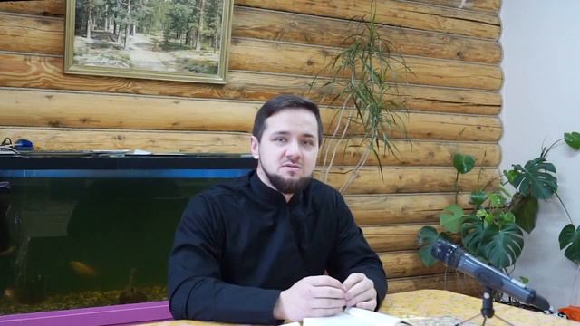 Содержимое ЗАПОВЕДЕЙ. Часть 1 смотреть онлайн