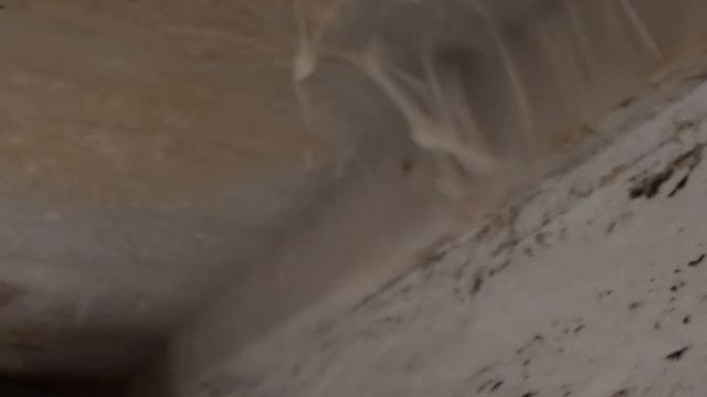 Вентиляция в погребе. Что будет, если она не работает. смотреть онлайн