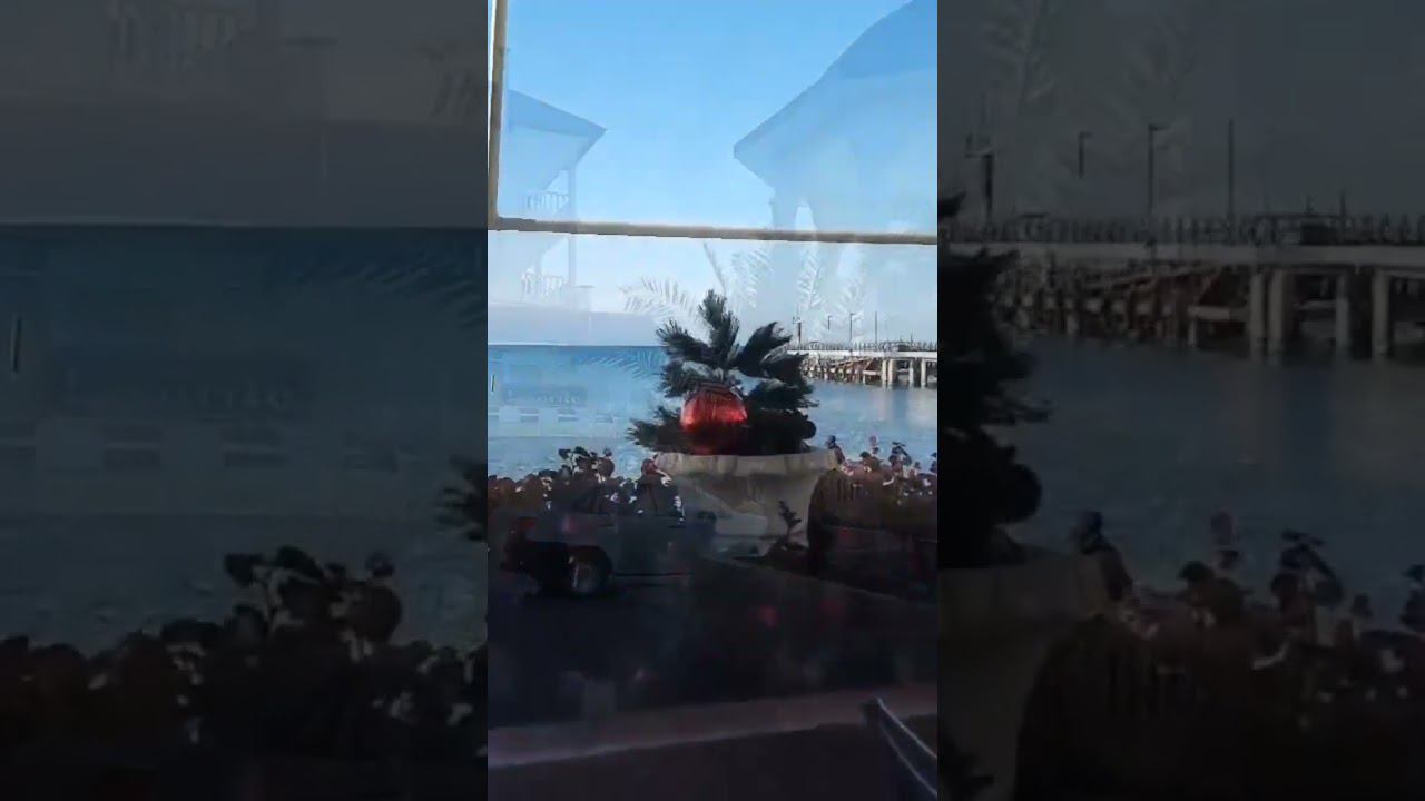 22.12.22 г.Погода Лазаревское #shorts #погодалазаревское #лазаревское2022 #погодасочи #сочи смотреть онлайн