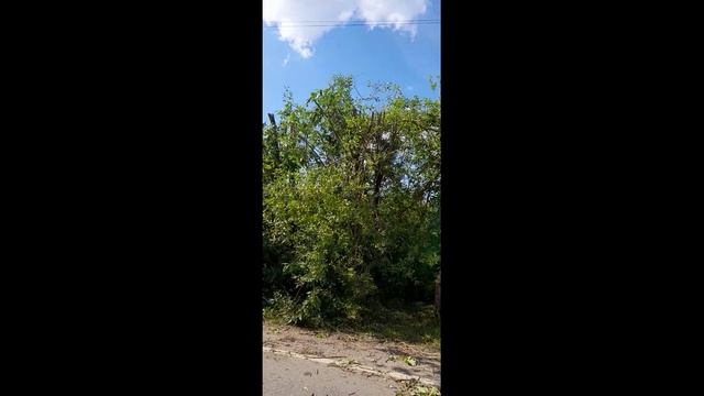 Мдааа! Нас посетили электрики. смотреть онлайн