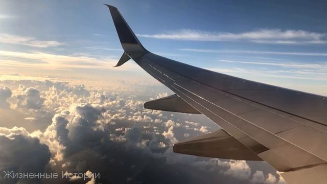 Пьяный изверг издевался над девочкой. Бабулька случайно услышала плач и ворвалась в квартиру... смотреть онлайн