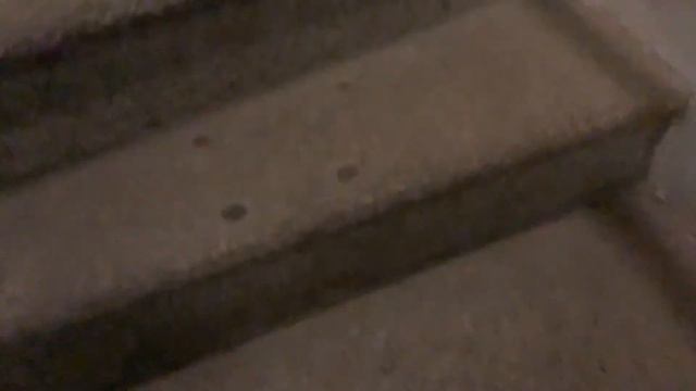 Влог Київ Шевченка район Володимирський собор—Софіївська Площа-Михайлівська Площа Фунікулер [№5] смотреть онлайн