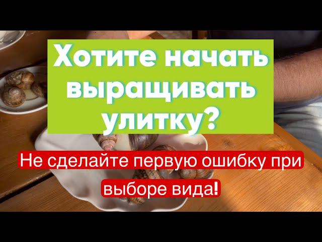 Какую улитку выращивают фермеры и что у нее внутри? смотреть онлайн