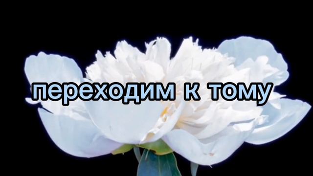 реакция ГП на гарри и тома как се лянь и Хуа чен)