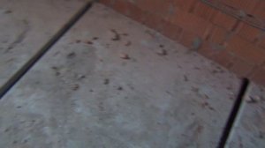 Плиты перекрытия. ПК или ПБ? Или БУ?