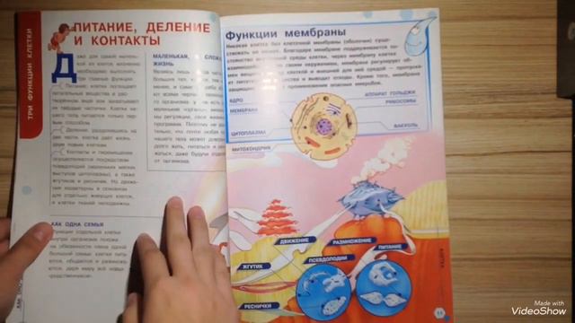 Как устроено Тело Человека 34 выпуск|Обзор|Журнал|Клетка|Deagostini|Валерия Арт смотреть онлайн