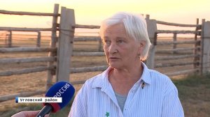 Женщина-коневод из Алтайского края содержит тысячу лошадей