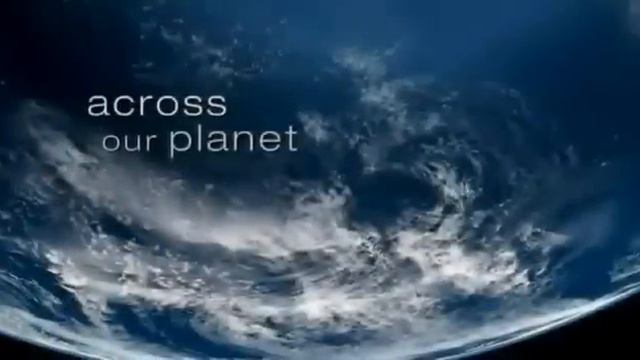 Может знает лес красоту небес... смотреть онлайн