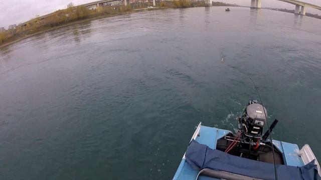 Ловля хариуса на спиннинг. Осень 2019. смотреть онлайн