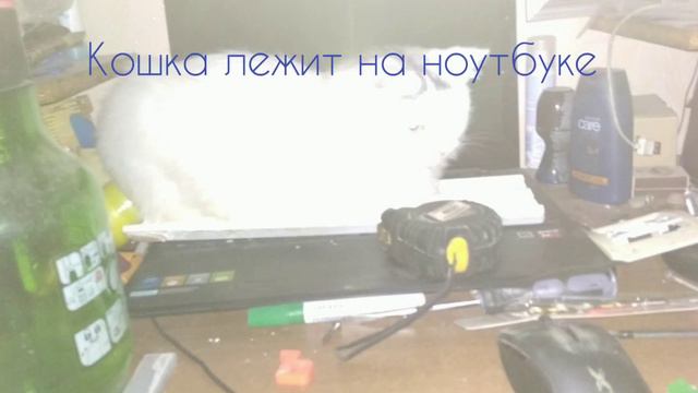 РоМаШкА РоМаШкА БеЛыЙ ЛеПеСтОк. Мем смотреть онлайн