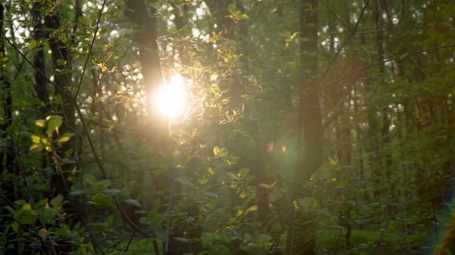 AURA BOOST! Mantra of Avolokite. Tibetan song. Esoteric Music. Anxiety Relief and uplifting. смотреть онлайн