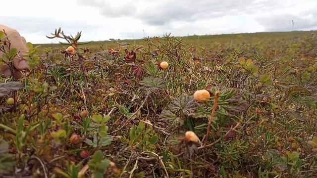 Сула Щучья 2022 смотреть онлайн