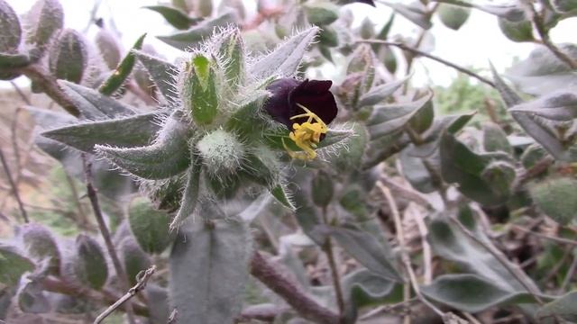 02_05_2020_Первая в этом году велопрогулка на сотню км.mp4 смотреть онлайн