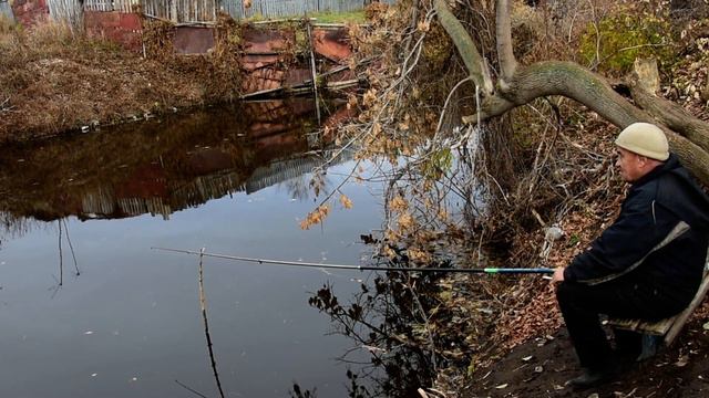 рыбалка с.Шипицыно камышловский р-он смотреть онлайн