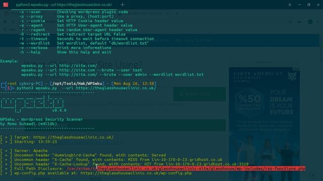 WPSEKU | Wordpress Security Scanner | DeepinOsLinux смотреть онлайн