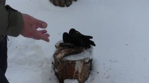 ОТЛИЧНО! Нож ODD 22 CIVIVI. Уличный тест