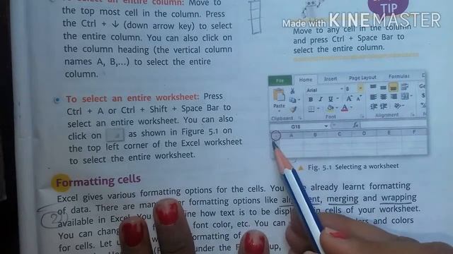 Computer :- class 6th :- chapter - MS Excel 2010: Formatting and Calculations ( part-1) смотреть онлайн