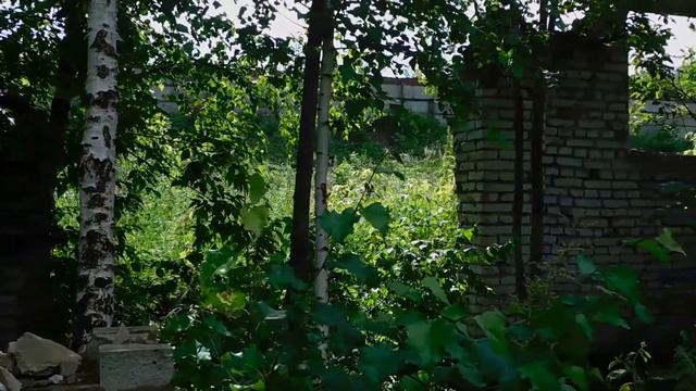 "ЛЕС ЖАРЫ" в Кузьминках. смотреть онлайн