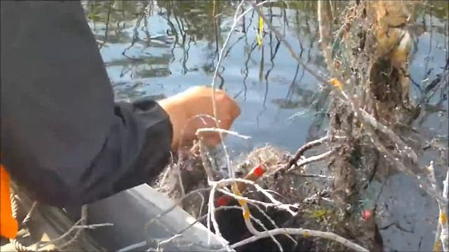 Рыболовное Богатство