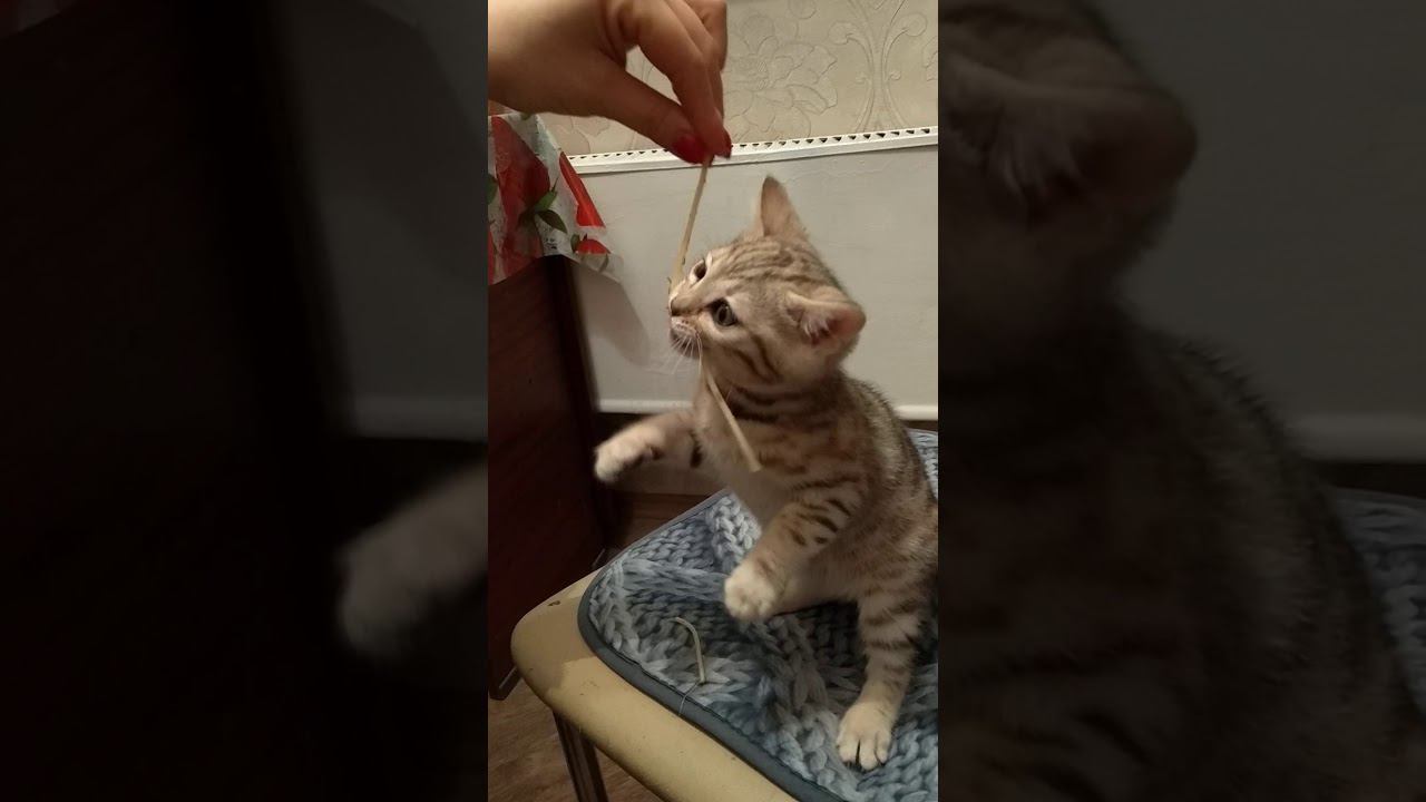 22 января 2020 г. смотреть онлайн