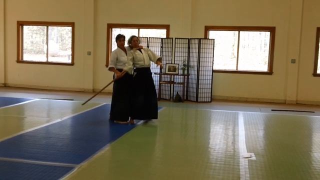 2023 Women's Aikido Camp: Jamie Zimron - tanto vs bokken смотреть онлайн
