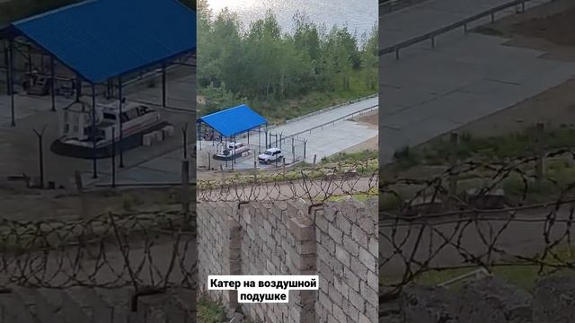 У рыбнадзора обновка смотреть онлайн