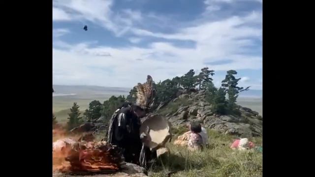 Экспедиции Профессиональной лиги психологии и психотерапии. Тува. Шаманы.Путь между мирами. смотреть онлайн